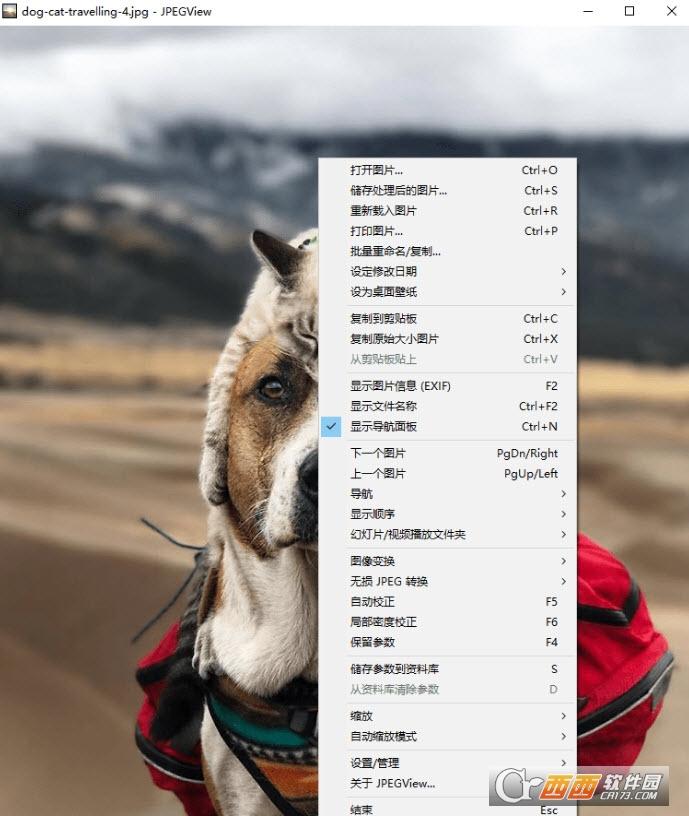 设置为默认程序,能看psd,便携版.