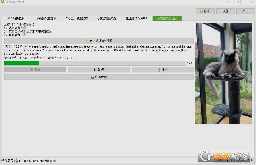 哼哼猫,下载工具.