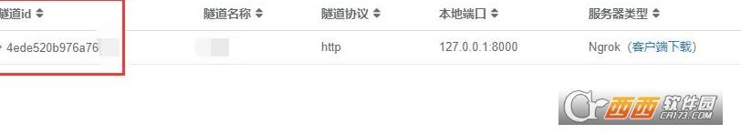 内网穿透利器,ngrok子域名,ngrok和花生壳.